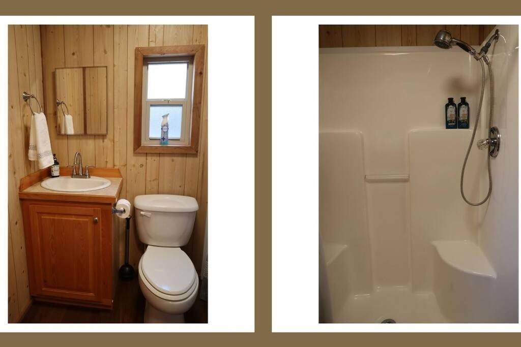 Driftwood Cabin - 2Nd Street Steinhatchee Екстер'єр фото